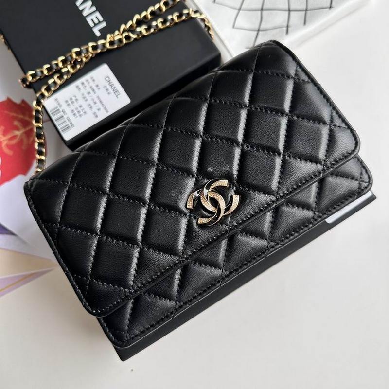 Chanel Handbags 667